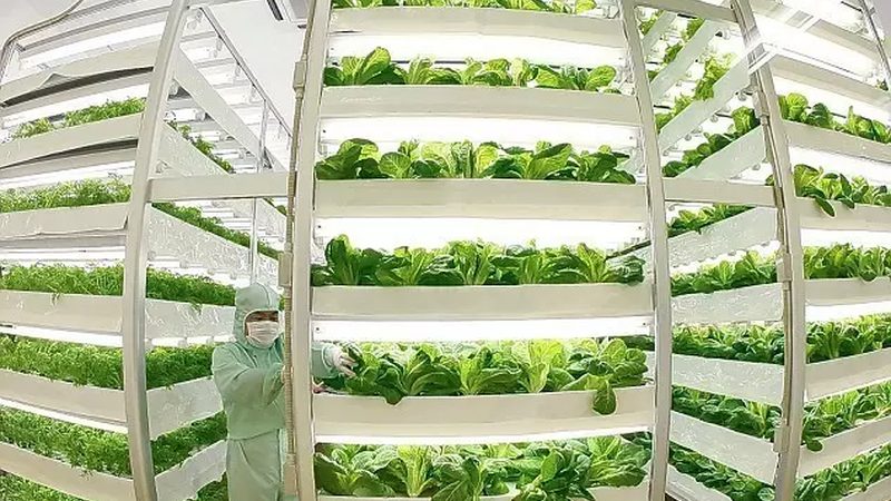 平台定制案例：××生态农场成功实践