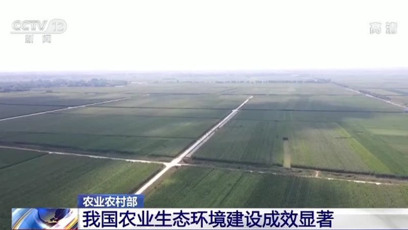 绿色食品和普通食品批发价格区别