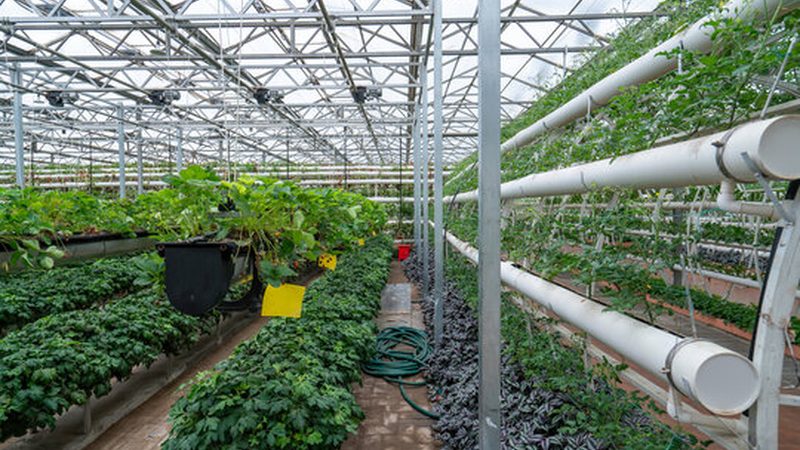 山东水果种植基地，批发价格表背后的考量因素**