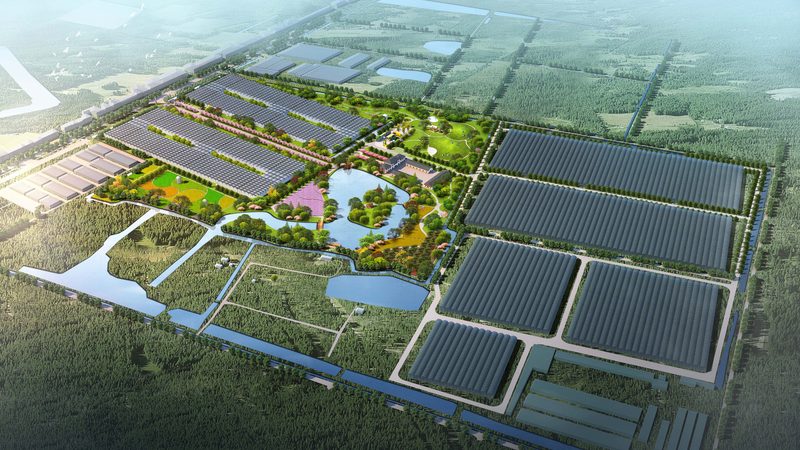 山东水果种植基地采购，如何规避四大误区？**