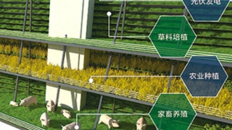 农业种植合作社怎么办证：合规之路详解