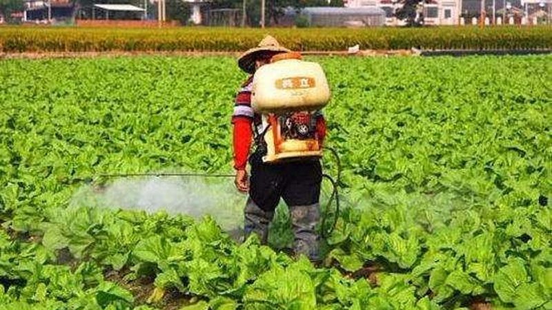 果蔬批发配送流程区别：传统与现代化模式的对比