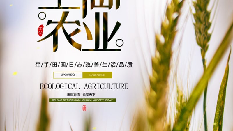 成都农产品代理加盟合同：合规要点与风险防范**