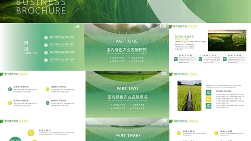 海南芒果种植基地排名揭秘：探寻优质产地的秘密**